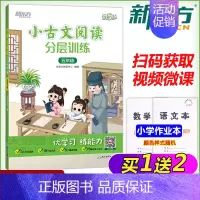 语文 五年级上 [正版] 新东方小古文阅读分层训练五年级5小学插图注释提高阅读能力新东方优学练常考知识清单难题详解祥