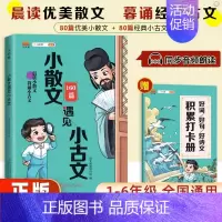 小散文遇见小古文 小学通用 [正版]2023小散文遇见小古文一二三四五六年级语文通用版 小学生古文观止100课篇每日一读