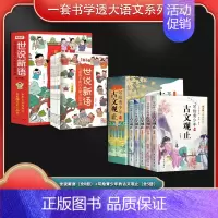 B848.2-49 [正版]一套书学透大语文系列(全13册)世说新语:写给孩子的八大能力培养课(全8册)+写给青少年的古
