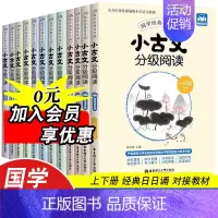 小古文分级阅读(5+6年级) 小学通用 [正版]小古文分级阅读上下册小学生一读就懂一二三四五六年级文言文大全一天一首人教