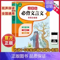 必背文言文(彩图注音版) 小学通用 [正版]开心教育小学生必背小古文120篇思维导图同步人教版阅读理解与训练文言文古诗词