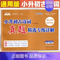 [小升初古诗词]真题精选 小学升初中 [正版]2024版 助考金卷小升初小古文真题精选专练详解 小升初古诗词真题精选专练