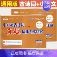 [小升初古诗词+小古文]真题精选 小学升初中 [正版]2024版 助考金卷小升初小古文真题精选专练详解 小升初古诗词真题