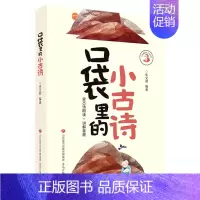口袋里的小古诗 小学通用 [正版] 新版小学生小古文100课上下册修订注音版全套2本朱文君 课外书阅读训练文言文启蒙一二