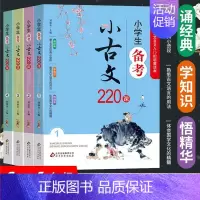 小学生备考小古文220课(全4册) 一升二 [正版]小学考小古文220课全套4册含100课200篇上册下册走进小古文阅读
