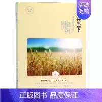 [正版] 活在当下 晓霞 书店 人生哲学书籍