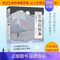 生命的拐角 [正版]感谢伤害你的人励志书籍提高情商治愈系人生的成长修炼课心灵修养青春正能量书籍心灵鸡汤人生哲理哲学励志畅