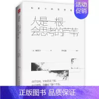 人是一根会思考的芦苇 [正版]人生的智慧经典(全3册)叔本华的人生智慧+尼采的智慧箴言+帕斯卡的哲思语录 哲学家帕斯卡典