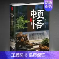 顿悟洒脱的智慧 [正版]顿悟:洒脱的智慧精装版 中国上乘人生哲学 人生智慧 做慈悲幸福慈悲智慧快活的人 为人处世技巧