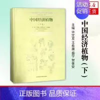 [正版]中国经济植物(下)编者 许定发王希蕖盛宁贺善安 生命科学生物学科普类书籍 江苏科技书籍凤凰书店