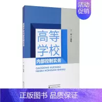 [正版]高等学校内部控制实务 经济科学出版社 丁丽 社会科学理论与方法论 构建适用于高校的内部控制制度 预算管理 收支管