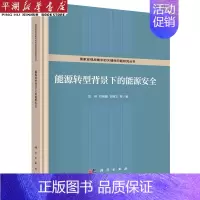 [正版]书店 书籍能源转型背景下的能源安全(精)/国家宏观战略中的关键性问题研究丛书 经济管理学 金融投资图书