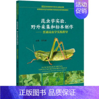 [正版]昆虫学实验、野外采集和标本制作——普通昆虫学实践指导:张传溪 编 大中专理科农林牧渔 大中专 浙江大学出版社 图