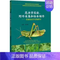 [正版]昆虫学实验、野外采集和标本制作——普通昆虫学实践指导:张传溪 编 大中专理科农林牧渔 大中专 浙江大学出版社 图