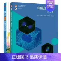 [正版]细胞生物学 第五版第5版 丁明孝 王喜忠 张传茂 邓宏魁+同步辅导及题全解 苏志平 陈洪明 2本图书籍