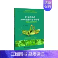 [正版]昆虫学实验、野外采集和标本制作——普通昆虫学实践指导张传溪 自然科学书籍