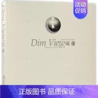 [正版]暗像 王传岗 著 摄影艺术(新)艺术 书店图书籍 华南理工大学出版社