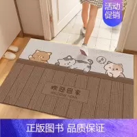 爬墙喵喵 120*120cm[不怕日晒雨淋 丝圈] [正版]丝圈入户门刮土防滑地垫家用进门门口耐脏地毯可自由裁剪DIY脚