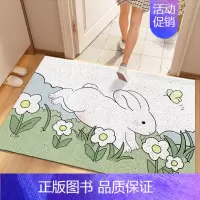 花园兔叽 定制尺寸不支持退换 联系客服改价 [正版]丝圈入户门刮土防滑地垫家用进门门口耐脏地毯可自由裁剪DIY脚垫