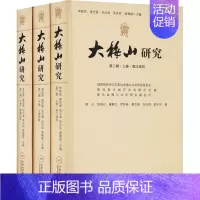 [正版]大梅山研究 第2辑(全3册) 李新吾 等 编 社会科学总论经管、励志 书店图书籍 中南大学出版社