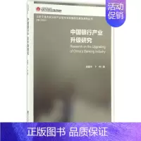 [正版]中国银行产业升级研究 段建宇,卜伟 著;李文兴 丛书主编 财政金融 经管、励志 社会科学文献出版社 图书