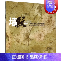 [正版]墙纹摄影 徐公诚艺术作品集 徐公诚 著 摄影 哲学社会科学 图书籍 学林 世纪出版