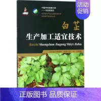 [正版]白芷生产加工适宜技术 俞冰,范慧艳 主编 社会科学其它生活 书店图书籍 中国医药科技出版社