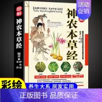 [正版]图解神农本草经 彩图版现代家庭认知应用养生保健指南书中医古籍出版社中国古代中医文化精华中药图谱详解