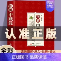图解中藏经 [正版]图解中藏经难经脉经中医学伤寒论黄帝内经清嘉庆平津馆从书本底本养生理论中国传统文化对思想用图解解读国华