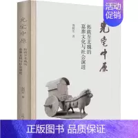 [正版]光宅中原:拓跋至北魏的墓葬文化与社会演进 汉唐史倪润安著作探晋制与唐制渊源流变上海古籍出版社文物考古鲜卑