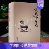 [正版]武威金石志 中国西北地区岩画碑刻墓志碑石刻雕佛像铭文记匾额史料文化研究历史文物资料马踏飞燕文物图集文献收藏天津古