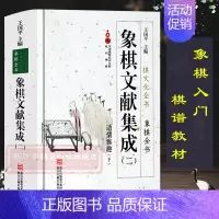[正版]象棋文献集成:2适情雅趣下(精装) 中国象棋全书/棋文化全书 象棋入门名局精选象棋攻杀技巧江湖秘局精粹开局布局战
