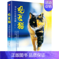 [正版]观复猫 书中自有黄金猫 马未都著 猫馆长与你讲故事说文化涨知识 中国古籍中的神秘猫文化+观复猫的软萌日常 出版图