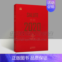 [正版]致敬2020 天津城市景观丛书历史文化名城景物摄影集光线构图城市规划景观建设与历史人文研究结合系列图文书籍 天