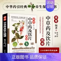 [正版]常用中草药及饮片图谱 彩图版 现代家庭认知应用养生 保健指南书 草药专业知识 中药材饮片彩色图谱 中药图谱详解中