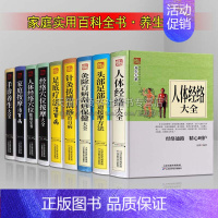 [正版]中医养生大系全9册中医推拿养生穴位图解人体经络刮痧按摩足部头部针灸拔罐家庭养生保健零基础图解手法教程书籍