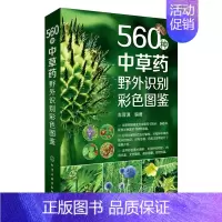[正版]560种中草野外识别彩色图鉴 图解常见中草药 中医养生保健家庭用书 野外植物识别鉴别图册 常见中草药手册 中草药
