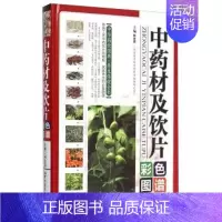 [正版] 中药材及饮片彩色图谱 林余霖 著 军事医学科 中华药饮经典养生保健全书彩图彩色彩页精装图文版中药材图谱 家庭养