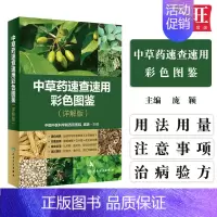 [正版]中草药速查速用彩色图鉴详解版庞颖家庭实用植物饮片经验方食疗方本草纲目彩色图解鉴中医保健养生人民卫生出版97871