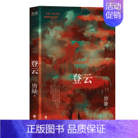 九州·登云 [正版]唐缺九州系列典藏套装全11册 龙渊 龙悸 星痕 登云 丧乱之瞳 殇翼 魅灵之书 云之彼岸 无尽长门傀