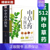 [3册]中草药图鉴+千金方+汤头歌诀 [正版]中草药全图鉴千金方 汤头歌决 彩色图解版中药材识别入门中国中医医学自学书籍