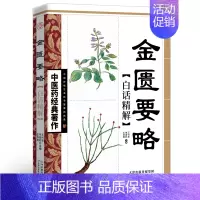 金匮要略白话精解 [正版]金匮要略正原版中医药经典文白对照张仲景原著白话文注释解译文精解倪海厦中医基础理论大全中医四大经