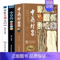 [正版]3册中医书籍大全中草药材百科图鉴肾虚补肾壮阳养生调理妇科书籍 中医基础理论医学类书籍搭中医方剂入门 中草药识别百