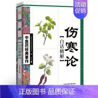 [正版]伤寒论 中医参考书籍 中医名著 临床理论养生中医药 经典著作 白话译文 医学卫生类图书 中医入门基础 生活保健