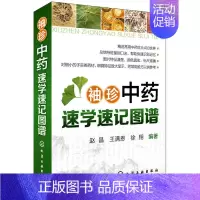 [正版]袖珍中药速学速记图谱 图解中草药大全 中医书籍 中草药中药药材品种类鉴别区分 中药学名名称大全教程书籍 药材分类