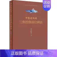 [正版]中医皮肤病三焦经络部位辨治 宫振甲 传统老中医诊断与治疗教程图书 医学类专业书籍 人民卫生出版