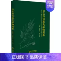 [正版]山东药用蕨类植物图典 李建秀,李晓娟,刘谦 编 中医中药草药中医药研究参考图书 医学类专业书籍 中国医药科技出版
