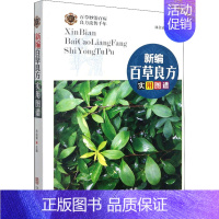 [正版]新编百草良方实用图谱 林余霖 编 中药学中药草药相关专业知识图书 医学中医药学类书籍 华龄出版