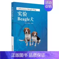 [正版]图书 实验Beagle犬 倪庆纯 贺争鸣 主编 中国中医药出版社 9787513281492 医学卫生类书籍动物