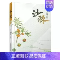 [正版]无书不印 沙棘 李旻辉种植业中国医药科技出版社沙棘的分类医药学研究种植价值质量监控市场现状中医中药成份 9787